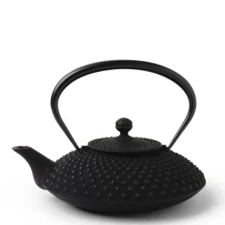 MIYA Company Cast Iron Teapot Flat Hailstone 1.08L Best