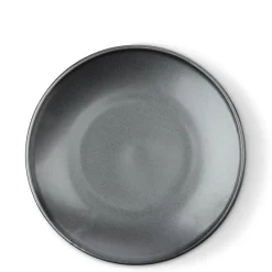 MIYA Company Iron Glaze 9" Plate Best