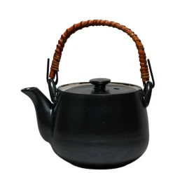 MIYA Company Iron Glaze  6" x 4.5" x 7" h 22 oz. Teapot at Miya Hot