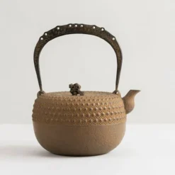 MIYA Company Iwachu Kettle Tetsubin Gravel Turtleshell Brown