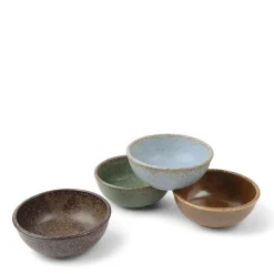 MIYA Company Pacific Forest Matte Sauce Dish Set Clearance