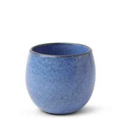 MIYA Company Teacup Umeshu Blue New